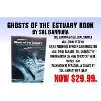 Ghost of the Estuary by Sol Bannura